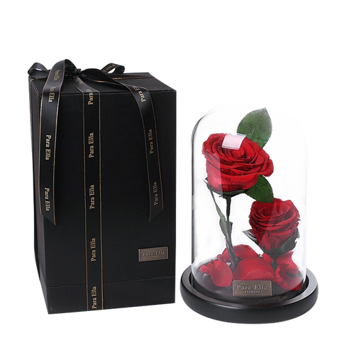 paraella2朵玫瑰永生花礼盒七夕情人节礼物送女友生日礼物结婚纪念日