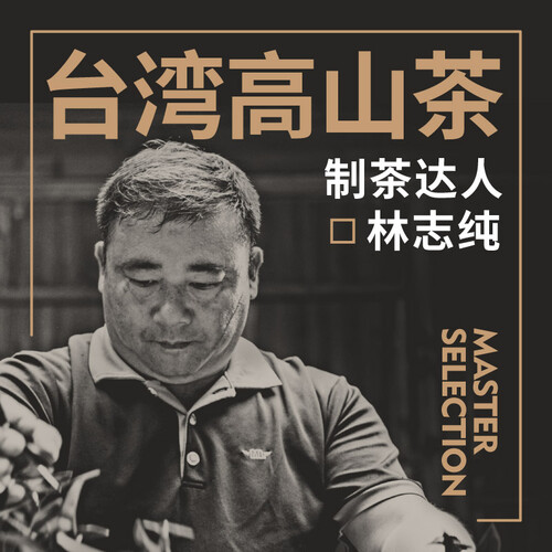 修哲茶叶台湾高山冻顶乌龙茶无农残赛过大红袍肉桂单枞送礼袋256g