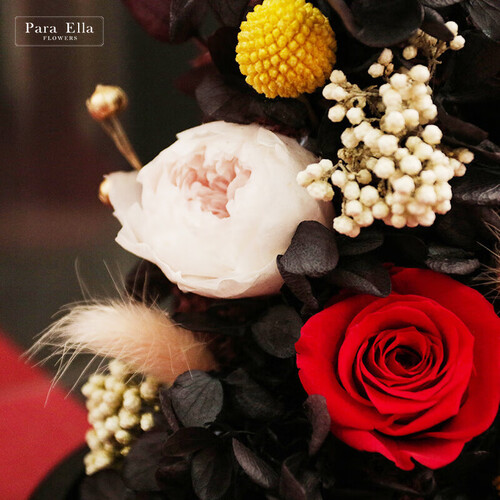 para ella永生花 plus会员:para ella 由衷欣赏 混搭永生玫瑰花多少钱