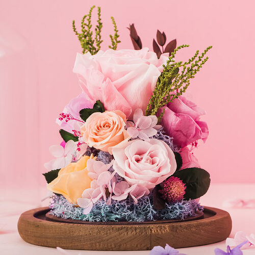 joyflower永生花 joyflower 只想对你好 唯美永生花组合(含玻璃罩)