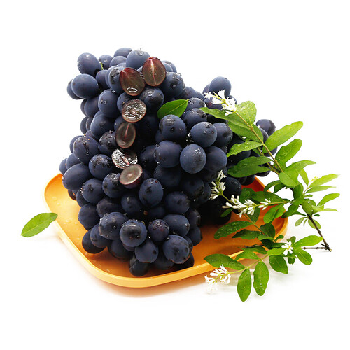 京鲜生 云南夏黑 无籽葡萄黑提 500g装 新鲜水果 源头直发包邮 16.