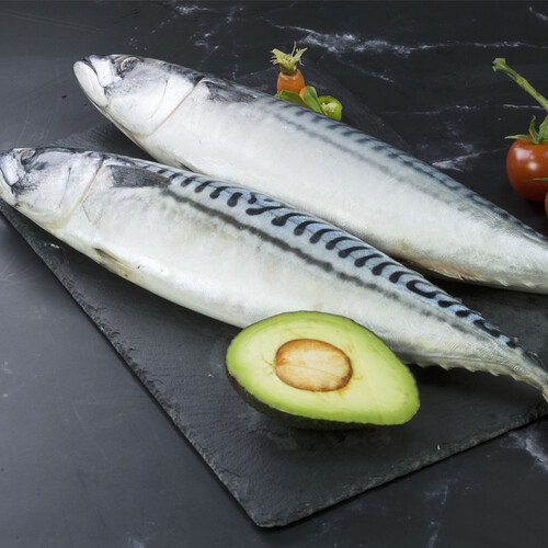禧美海产冰岛青花鱼1kg袋整条23条装袋装生鲜海鲜水产烧烤食材
