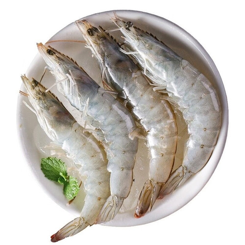 拾小鹿新鲜海捕厄瓜多尔大虾盐冻虾南美白虾对虾单冻含保鲜冰衣