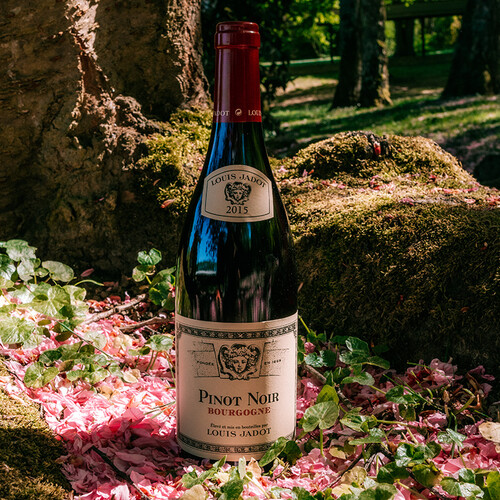 路易亚都世家louisjadot勃艮第黑皮诺干红葡萄酒750ml单瓶装