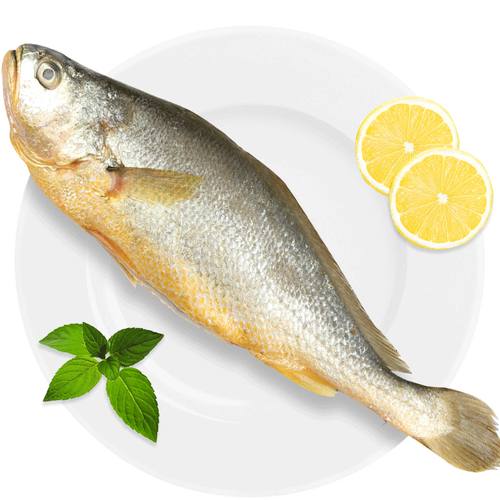 三都港国产宁德大黄鱼三去速冻新鲜生鲜活鱼冷冻水产黄花鱼海鲜黄瓜鱼