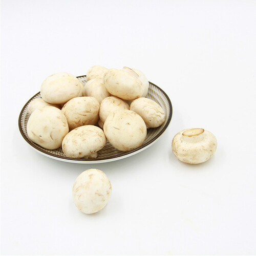 京百味江苏白蘑菇450g简装新鲜蔬菜