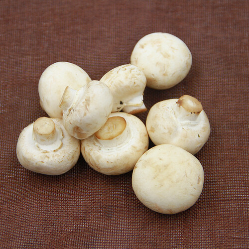 京百味江苏白蘑菇450g简装新鲜蔬菜