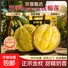 泰国金枕头榴莲鲜果巴掌榴莲 榴莲净重5-7斤（共2个果，大小随机，巴掌榴莲）