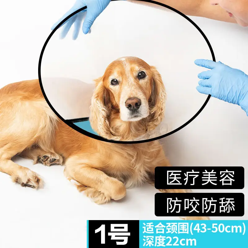 憨憨乐园伊丽莎白圈耻辱圈狗狗猫项圈猫咪头套宠物脖套大型犬防咬圈用品1