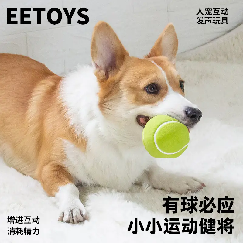 宜特（EETOYS）绿色网球狗狗玩具发声互动可水洗洁齿球宠物用品