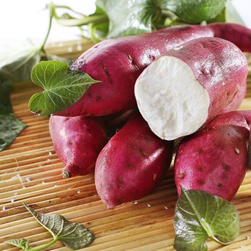 【西峡馆】商薯白心红薯 板栗红薯 农家地瓜 新鲜蔬菜 9斤装