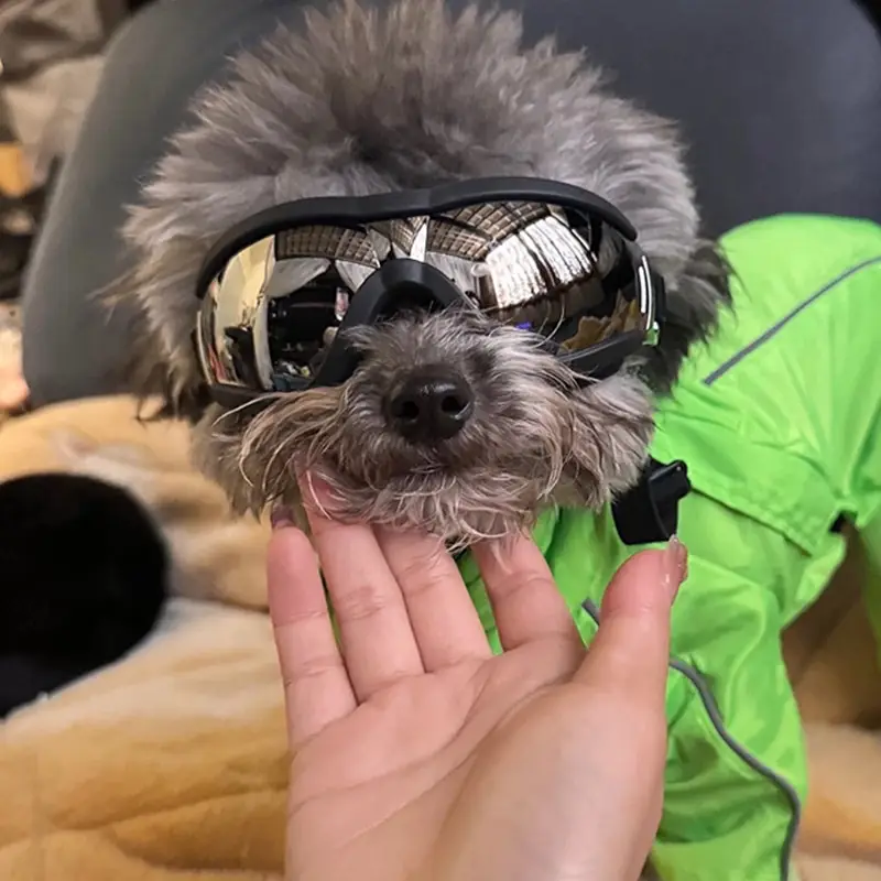 何佳功宠物外出头盔防风透明眼镜墨镜狗狗柯基柴犬泰迪摩托车机车用品 S墨镜-护目镜 宠物外出用品