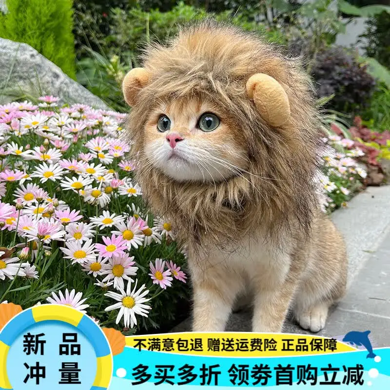 OIMG【糯米家】猫咪狮子头套耳朵小型犬狗狗帽子宠物可爱配饰头饰比熊 狮子头套(5-15斤) 猫咪狗狗均可