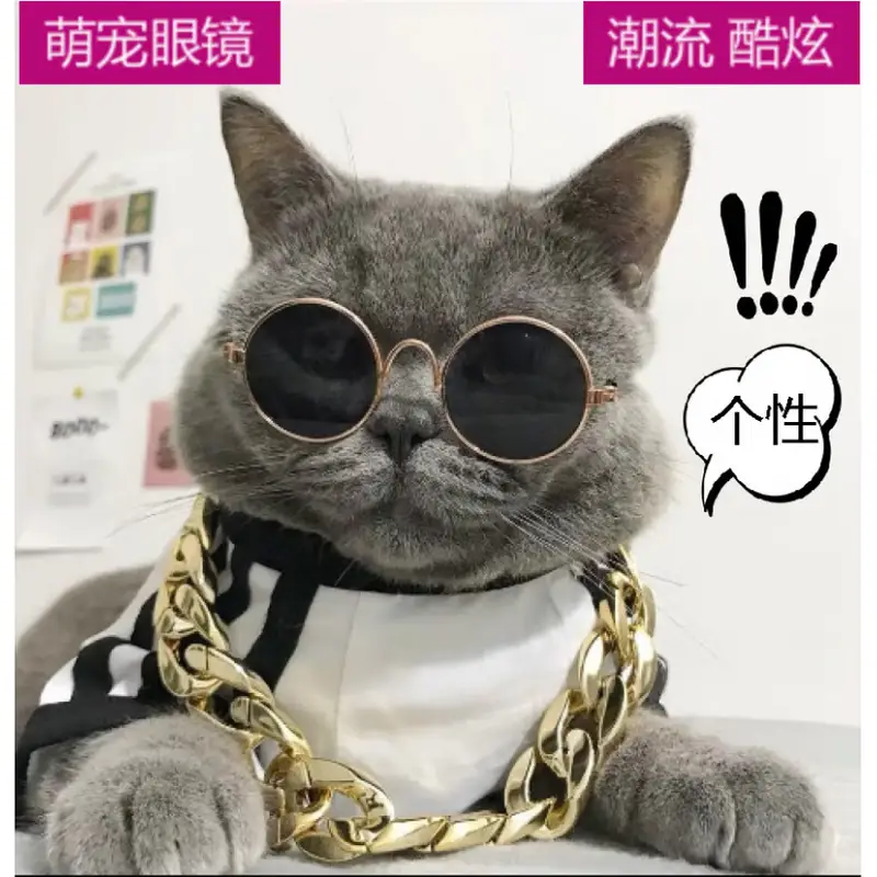 墨镜酷帅春夏新品狗狗猫咪宠物眼睛装饰用品小中型犬多色可选眼镜 宠物墨镜黑色_M(适合15斤内宠物)