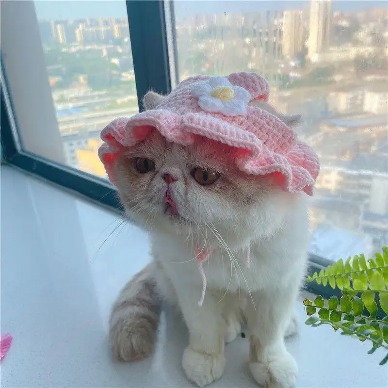 【甄选直发】猫咪帽子露耳朵狗狗帽子露耳朵猫猫头套情绪猫帽子女 粉色小花（适用10斤以内） 无规格
