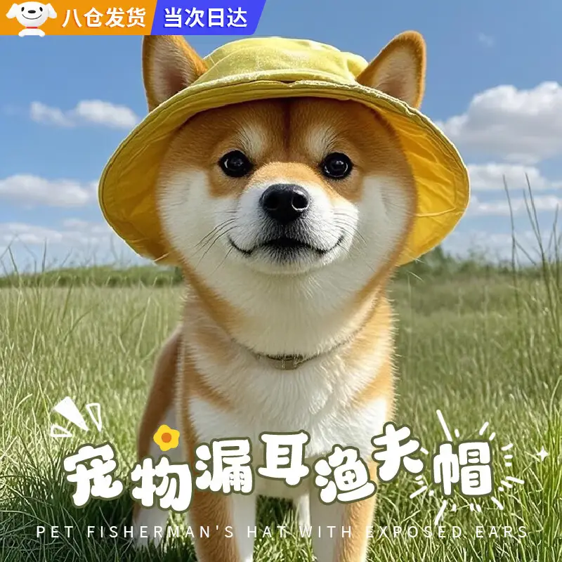 宠物狗狗帽子可爱露耳朵猫咪夏季户外太阳帽柴犬德文猫比熊渔夫帽 OSKV宠物狗狗帽子可爱露耳朵猫咪夏季户外太阳帽柴犬德