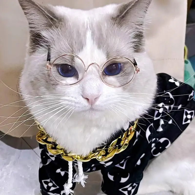 【做网红猫】宠物眼镜嘻哈搞怪眼镜猫咪太阳镜潮流配饰宠物墨镜 透明片-斯文败类 宠物专用