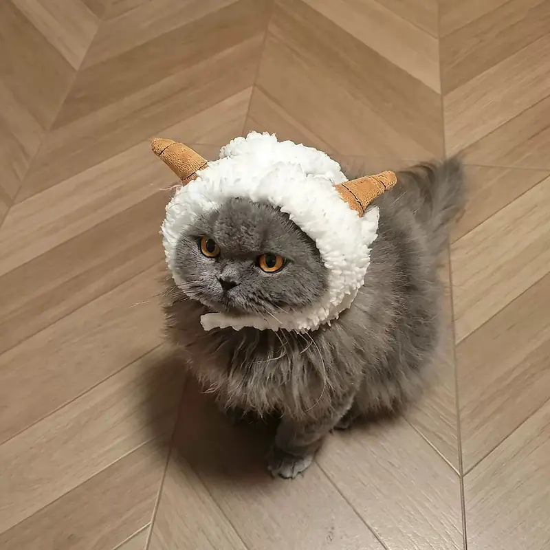 阿莫尔猫咪帽子宠物小羊毛绒头套装饰小型犬狗狗可爱绵羊帽拍照出片神器 小羊帽子 均码【3-16斤宝贝适用】