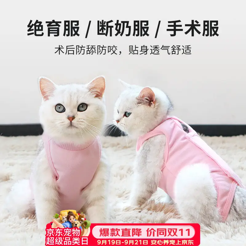 欢宠网宠物猫咪绝育服猫手术服母猫衣服断奶术后恢复幼小猫猫透气防舔衣