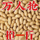 驼背熊【新货】铁锅炒花生原味花生熟花生带壳炒花生即食香脆年货坚果 熟 粉皮两粒原味花生一斤