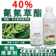 烁金40%氰氟草酯 水稻田稗草千金子等禾本科杂草农药除草剂 100g