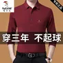 啄木鸟（TUCANO）中年男士长袖T恤翻领纯棉POLO 衫爸爸春秋装宽松休闲打底衫男装 P18黑色XH 165/M建议100120斤