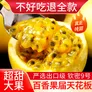 探味君 广西钦蜜9号黄金百香果 新鲜水果白香果酱原浆整箱 生鲜 净重4.5-5斤【单果45-60g】