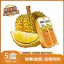 百鲜洽泰国金枕榴莲肉小金条液氮锁新鲜无核烤榴莲冷烤双吃烧烤次日达 100g*5盒去核榴莲肉