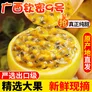 探味君 广西钦蜜9号黄金百香果 当季新鲜水果黄皮白香鸡蛋果热带 生鲜 30个装 单果30g以下