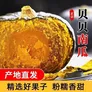 贝贝南瓜板栗味小南瓜粉糯宝宝辅食整箱正宗新鲜板栗味 实惠款(当季新货) 3斤