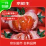 京鲜生陕 普罗旺斯西红柿净重4.5斤中果110g+ 陕西正宗水果番茄源头直发