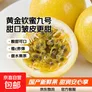 京喜加黄金钦蜜九号百香果 甜口 皱皮更甜不影响食用安心 新鲜水果 20粒(30-45g）