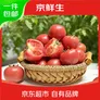 京鲜生 山东普罗旺斯番茄净重4.5斤中大果125g+ 沙瓤水果西红柿源头直发