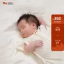 LAZY GOOSE懒鹅新生儿防惊跳睡袋0-3小月龄婴儿投降式襁褓睡袋包被四季通用