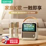 索爱（soaiy）索爱GC300Pro悬浮歌词蓝牙音箱家用一体户外喇叭麦克风话筒k歌家庭ktv音响儿童男女生毕业礼物