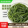 【东东农场专供】新鲜盐渍海带丝 非干货蔬菜 火锅麻辣烫凉拌食材 盐渍海带丝*500g