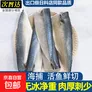 【到手4大袋】正宗青花鱼片新鲜大鲐鱼冷冻鲅鱼烤青占鱼 烧烤食材 鲜切【整箱12-14片鱼排】4大袋*300g