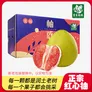 常青娘娘精选正宗广西红心蜜柚应季当季新鲜水果三红柚大果当季 净重4-4.5斤【1-2个】大果