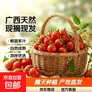 广西露天圣女果樱桃小番茄即食水果西红柿新鲜蔬菜应季整箱批发价 带箱4斤 4斤 净重3.5斤