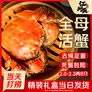 【活蟹】江问鱼 大闸蟹全母2.0两-2.3两 8只装 鲜活螃蟹生鲜中秋礼盒过节送礼