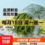 海带丝盐渍新鲜食材厚海白菜高泡发昆布丝结片 火锅食材 凉拌蔬菜 海带丝500g