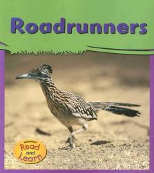 【预订】roadrunners