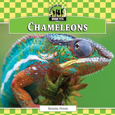 【预订】chameleons