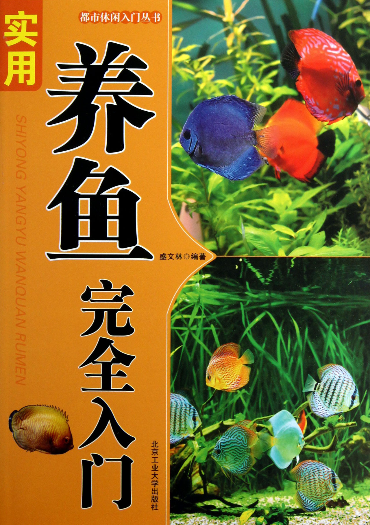实用养鱼完全入门/都市休闲入门丛书