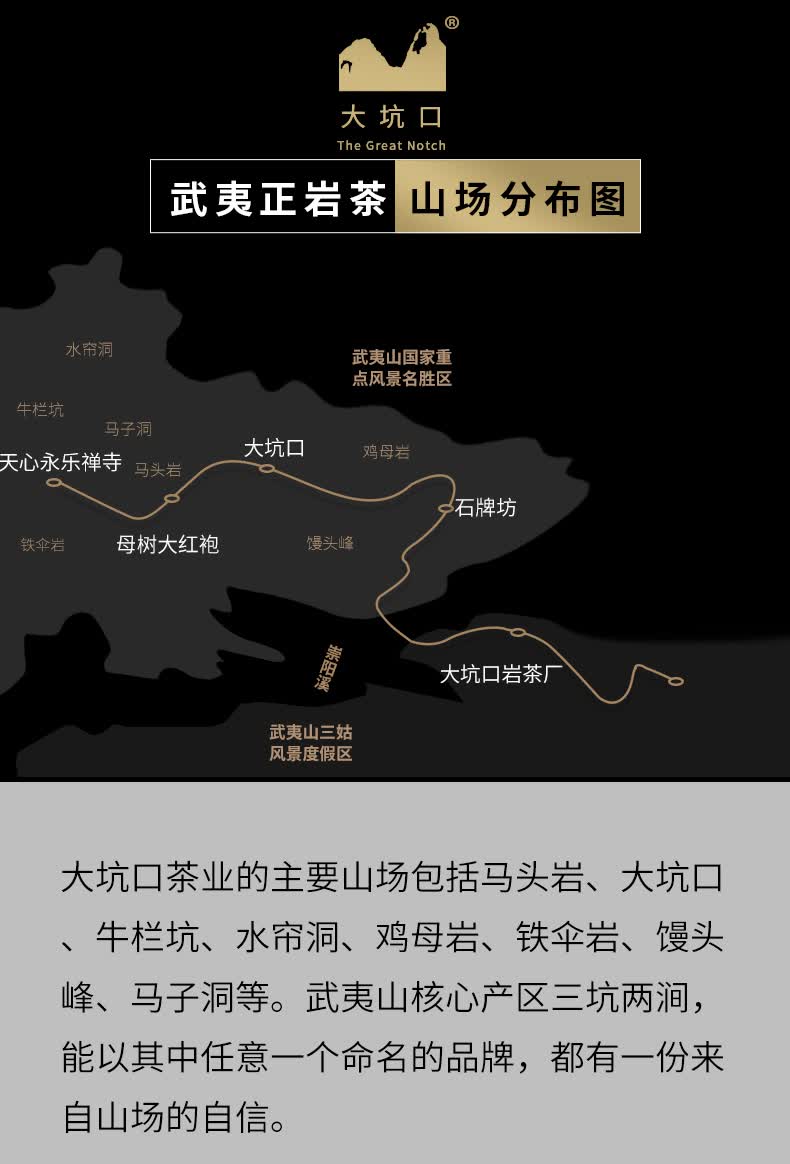 大坑口非遗老师出品福建武夷山岩茶核心产区正岩肉桂茶256g礼盒装春节