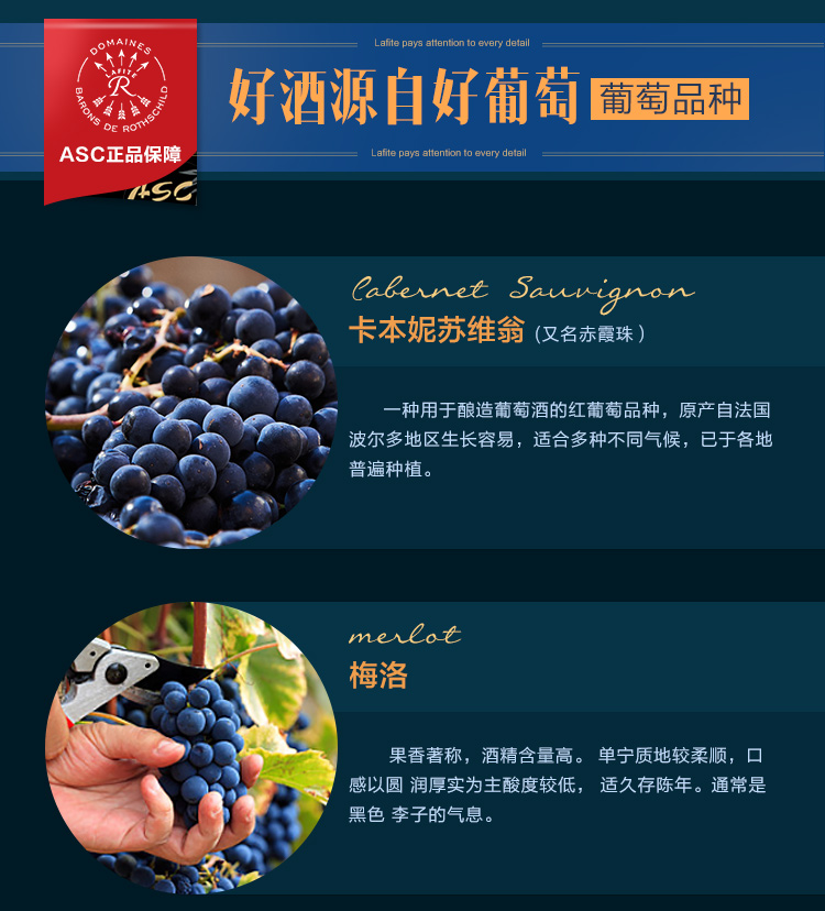 法国原瓶进口 lafite波亚克产区珍宝干红葡萄酒 小拉菲