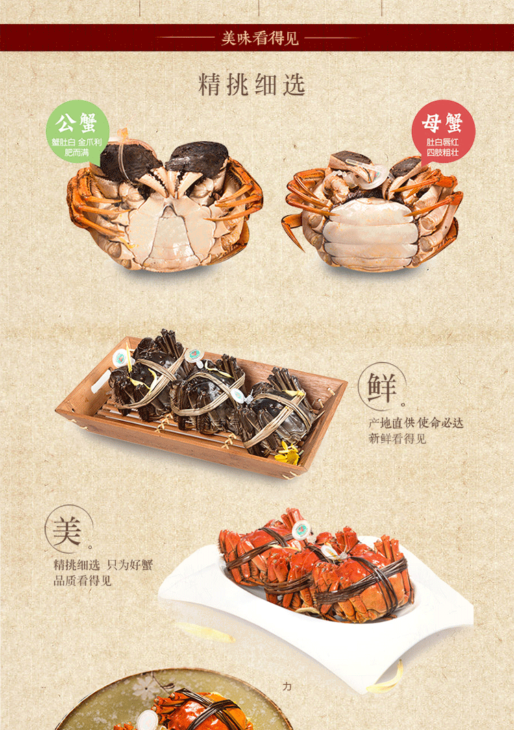 8只裝大閘蟹中秋禮盒