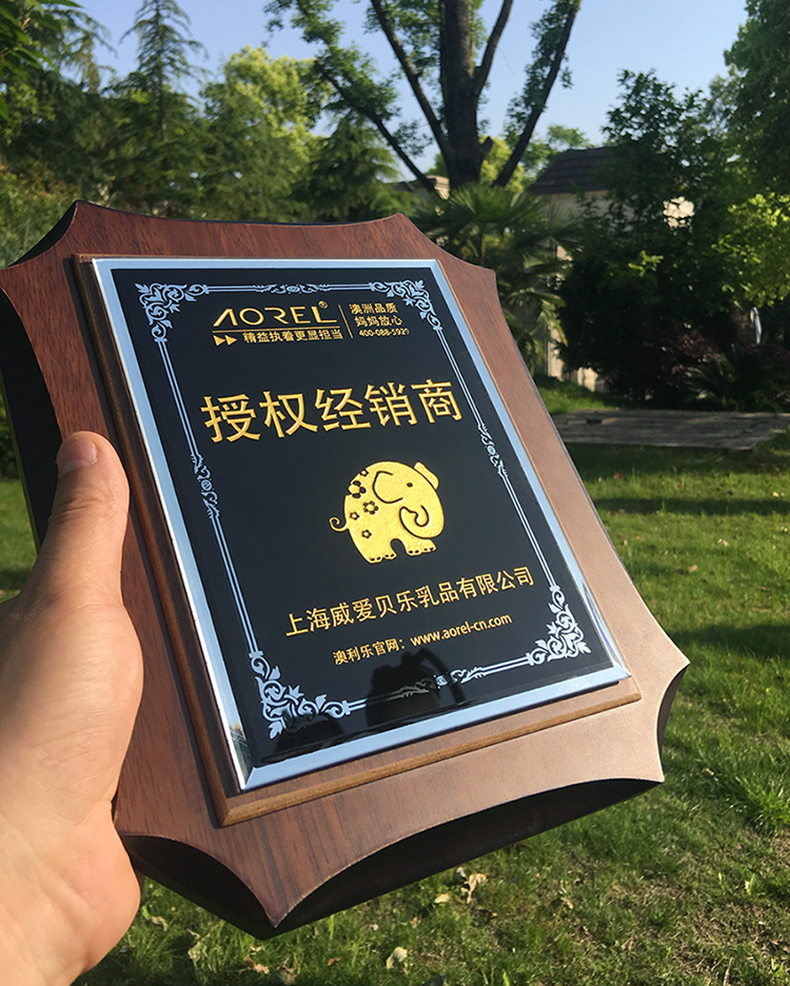 奖牌订做定做木托木质奖牌经销商授权牌定制创意木奖牌代理授权摆件