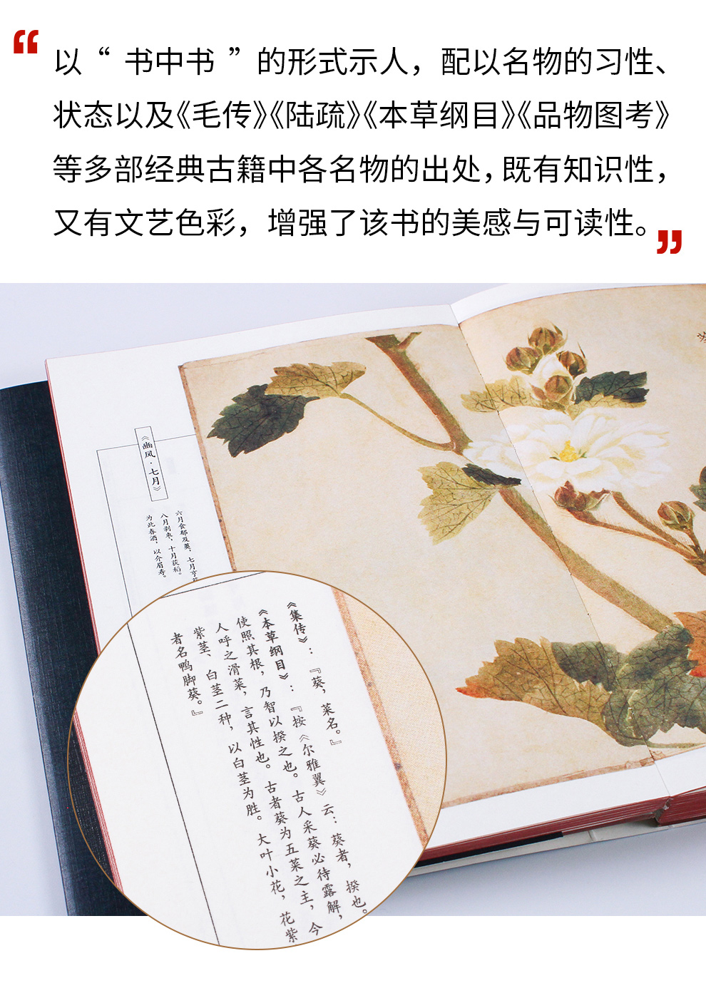 诗经名物图解《诗经》中动植物的古风手绘画 索线装仿古书籍 细井徇
