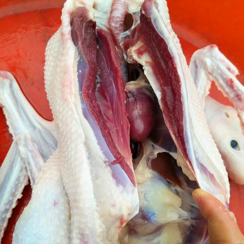 新鲜鹅肉大鹅鹅肉仔鹅草鹅农家大鹅活鹅现杀现发大菜园3kg净重约6斤1